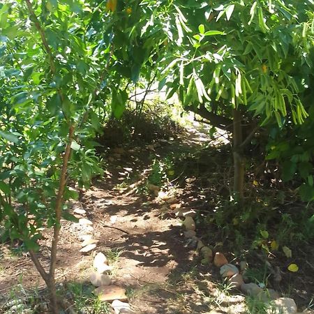 Bethany Farm Twee Riviere 外观 照片
