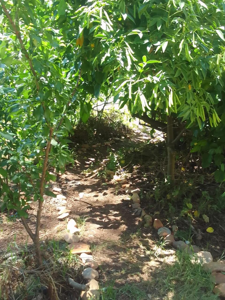 Bethany Farm Twee Riviere 外观 照片