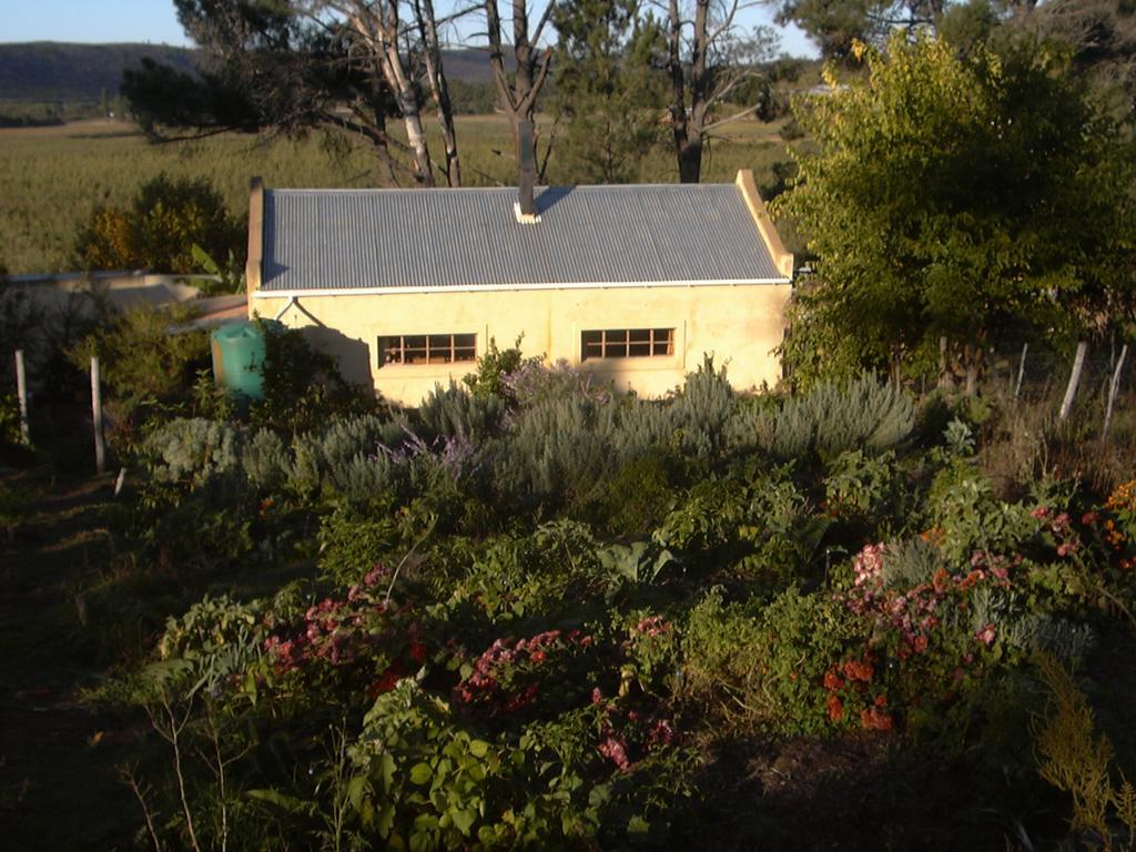 Bethany Farm Twee Riviere 外观 照片