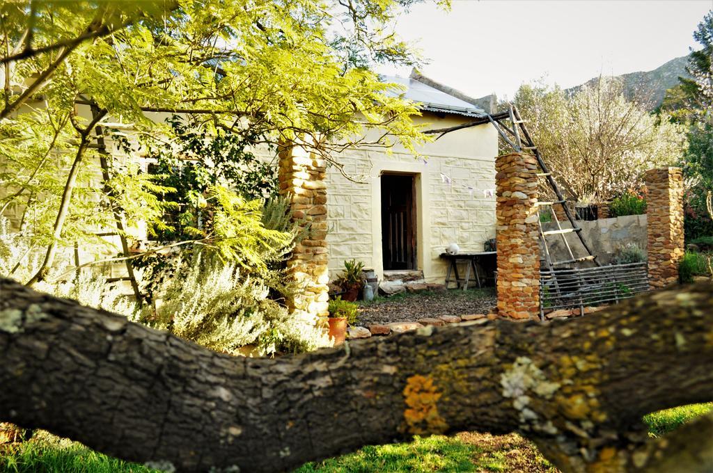 Bethany Farm Twee Riviere 外观 照片