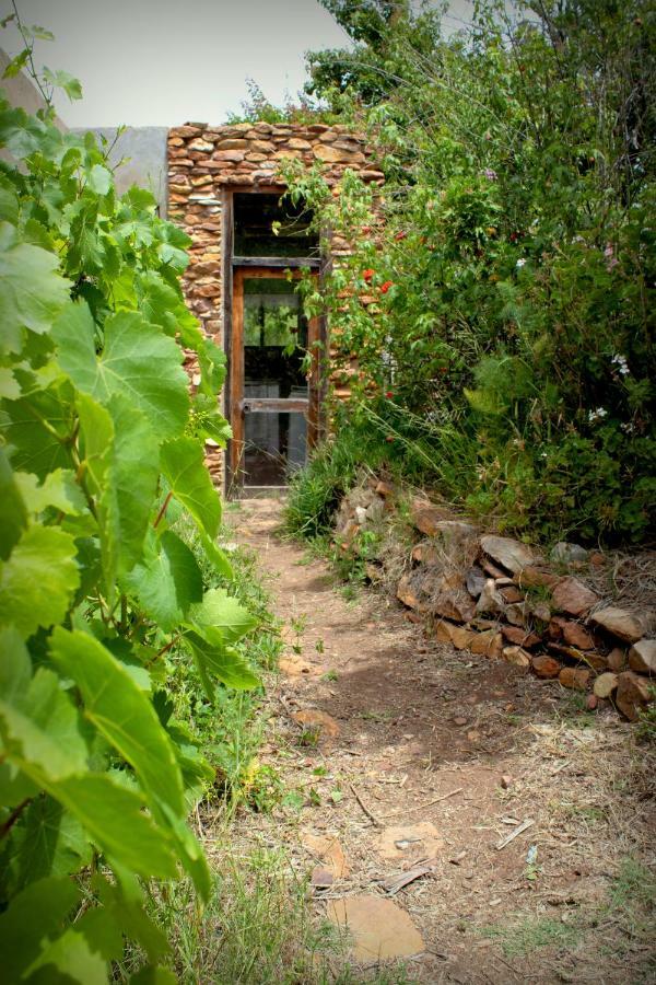 Bethany Farm Twee Riviere 外观 照片