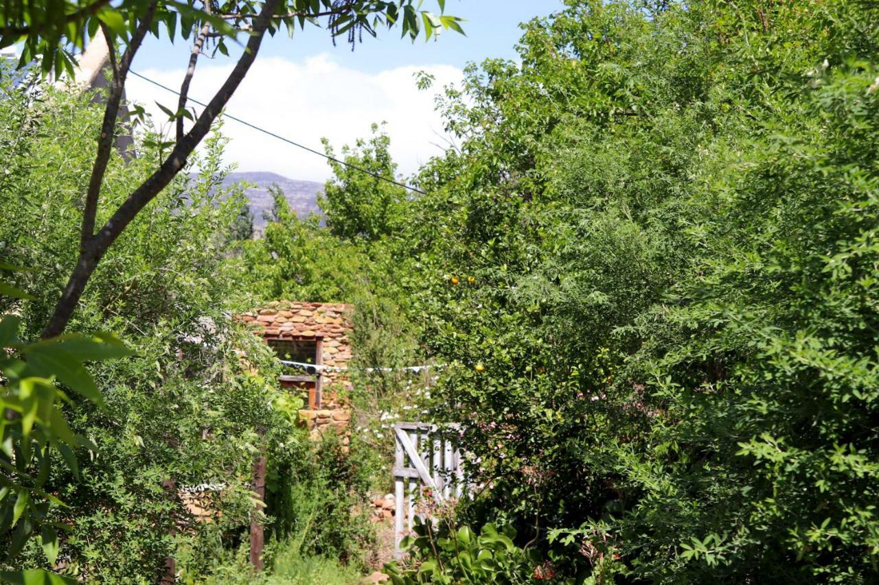 Bethany Farm Twee Riviere 外观 照片